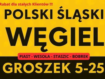 PROMOCJA POLSKI ŚLASKI WĘGIEL - GROSZEK - DARMOWA DOSTAWA