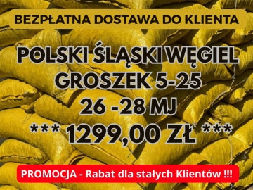 PROMOCJA POLSKI ŚLASKI WĘGIEL - GROSZEK - DARMOWA DOSTAWA